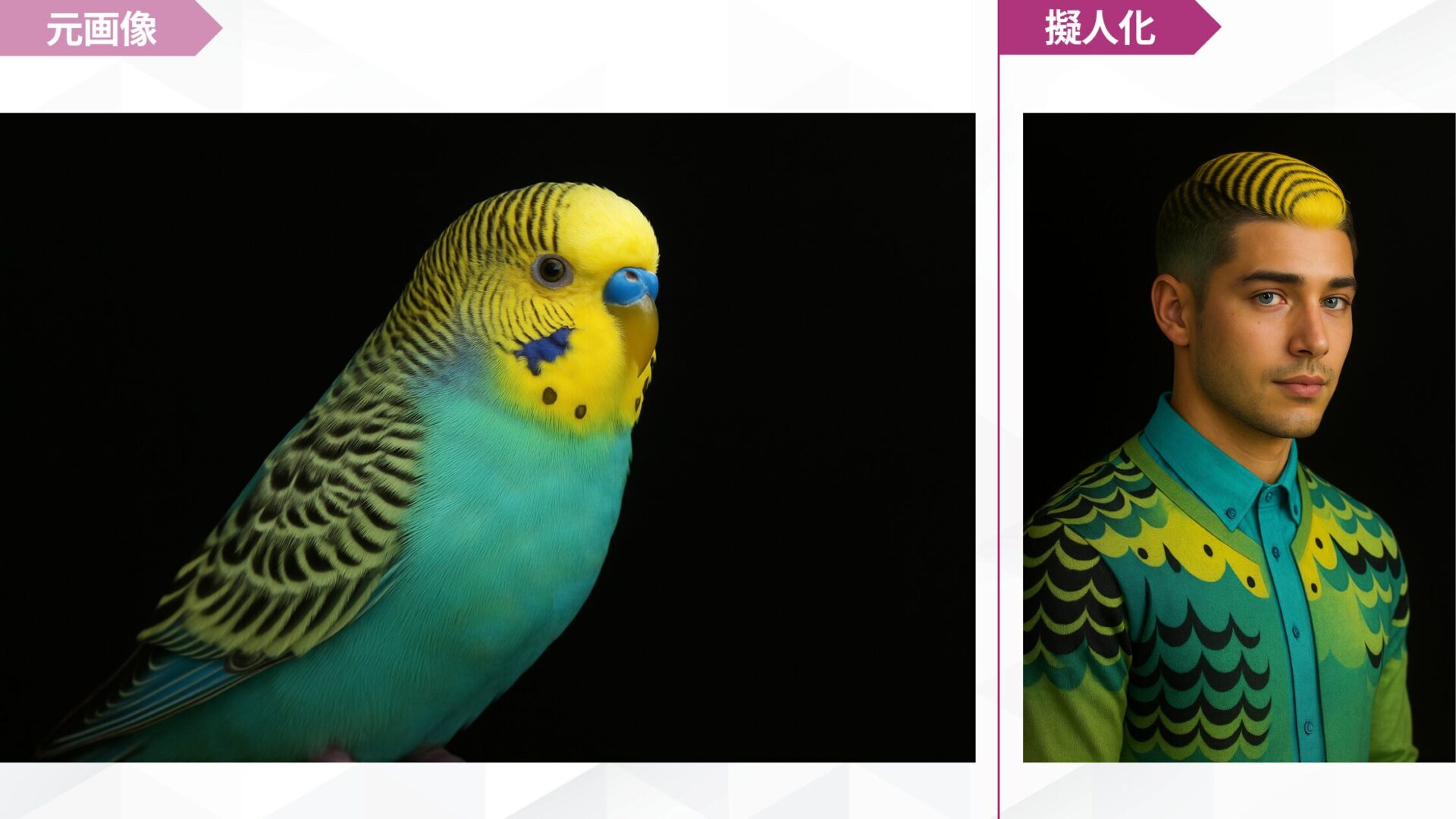 実際にペットの擬人化画像をChatGPTで作成してみた!(インコを擬人化)