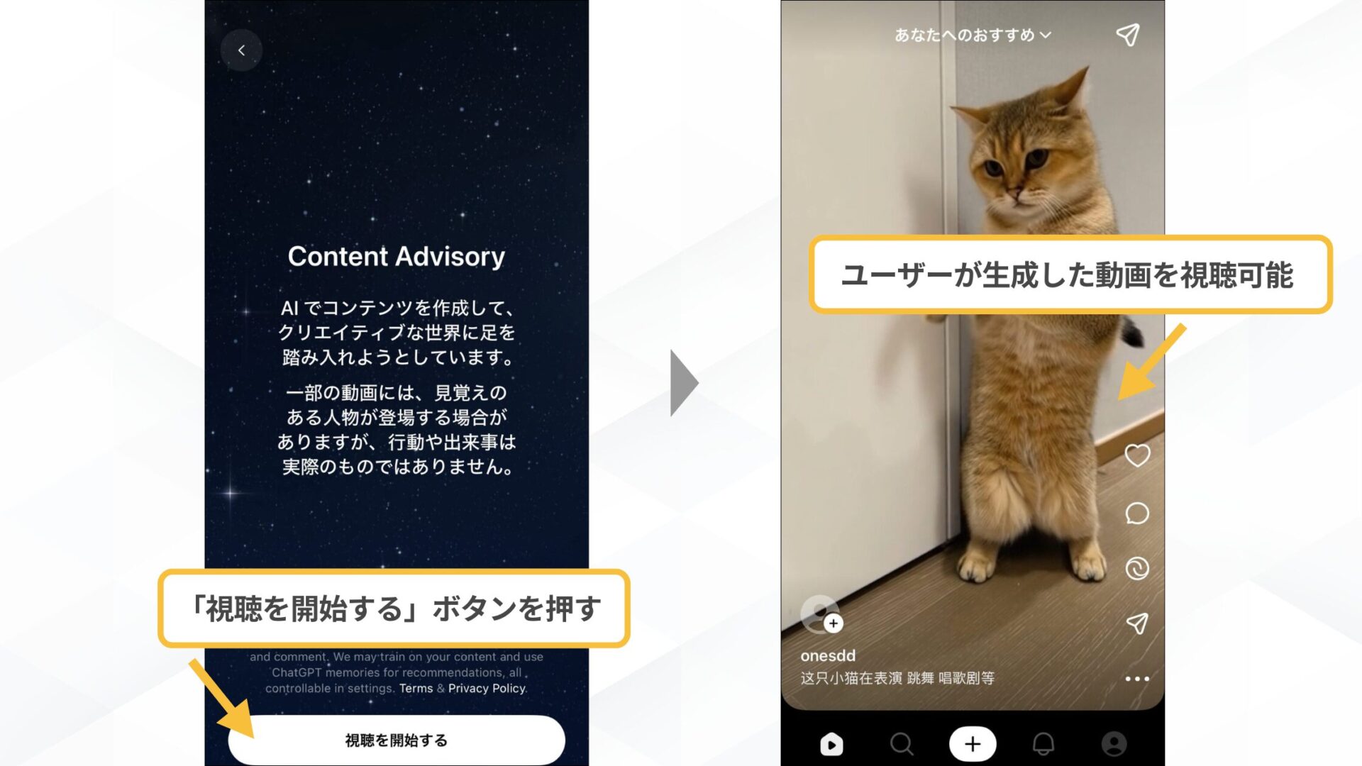 「Sora2」とSNSアプリ「Sora」の使い方(SNSアプリ「Sora」をiPhoneで使用する方法-ステップ2：ログインを行い、AI動画の鑑賞を楽しむ-ユーザーが生成した動画を視聴可能)
