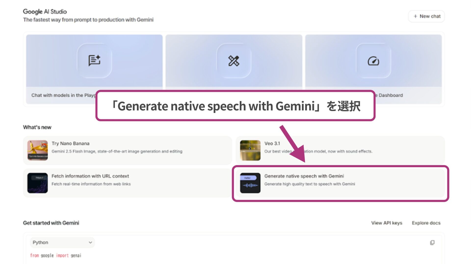 Google AI Studioの使い方(音声生成の方法)