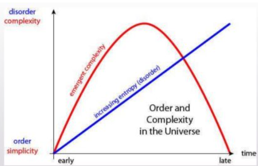 物理系の複雑さの時間的変化(増加、ピーク、減少)を図で示したもの