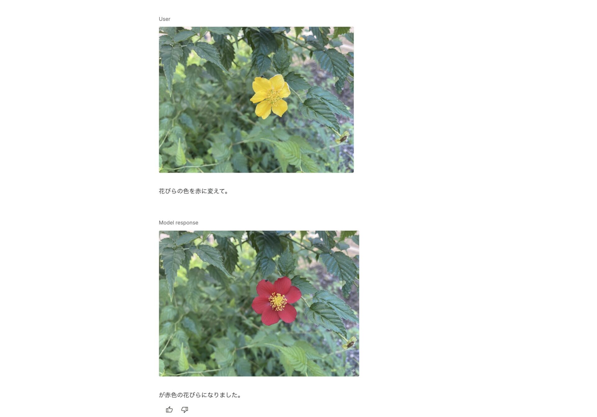 Nano Bananaに花の画像を提供して、それを編集している様子