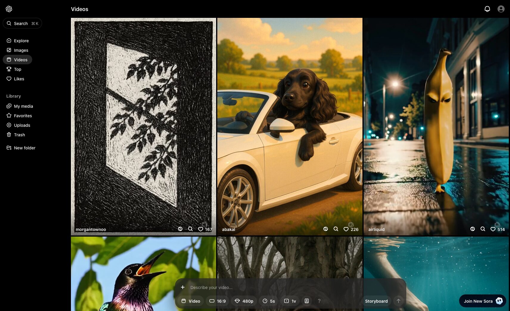 Soraのダッシュボード画像