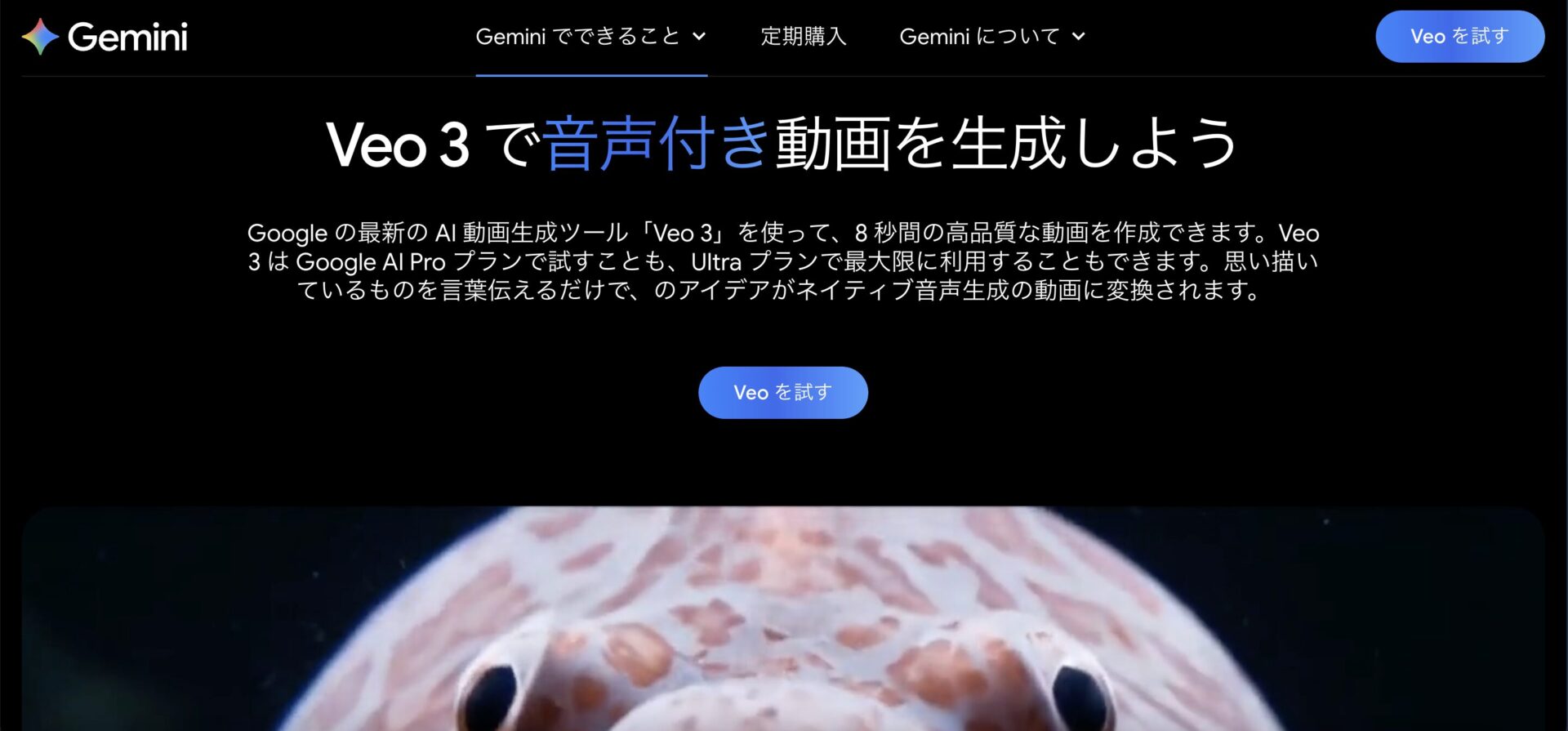 Veo 3の公式サイトの画像